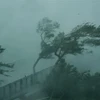 Gió lớn do ảnh hưởng của bão Mangkhut tại Hong Kong, Trung Quốc ngày 16/9. (Nguồn: THX/TTXVN)