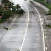 Cành cây gẫy la liệt trên đường Glouceste, Hong Kong. (Ảnh: Xuân Tuấn/Vietnam+)