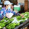 Dán tem kiểm định chất lượng sản phẩm tại Trang trại chuối xuất khẩu Huy Long An (Ấp Bến Kinh, xã Đôn Thuận, huyện Trảng Bàng, Tây Ninh). (Ảnh: Lê Đức Hoảnh/TTXVN)