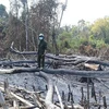 Vụ phá rừng ở Đắk Nông: Kỷ luật Chủ tịch công ty Quảng Sơn