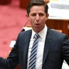 Bộ trưởng Thương mại và Đầu tư Australia, Simon Birmingham. (Nguồn: The Australian)