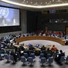 Một phiên họp của Hội đồng Bảo an. (Nguồn: THX/TTXVN)