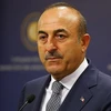 Ngoại trưởng Thổ Nhĩ Kỳ Mevlut Cavusoglu. (Nguồn: Anadolu Agency)