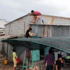 Người dân ven biển phường Đông Hải, thành phố Phan Rang-Tháp Chàm khẩn trương chằng chống nhà cửa ứng phó mưa bão. (Ảnh: Công Thử/TTXVN)