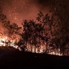 Cháy gần 8.000m2 rừng ở phường Cửa Ông của thành phố Cẩm Phả