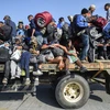 Người di cư Trung Mỹ đổ xô tới khu vực biên giới Mexico để tìm cách tới Mỹ ngày 11/11/2018. (Nguồn: TTXVN phát)