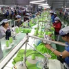 Sản xuất may mặc tại Công ty Far Eastern New Apparel Việt Nam - Khu công nghiệp Bắc Đồng Phú, tỉnh Bình Phước. (Ảnh: Dương Chí Tưởng/TTXVN)