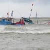 Cứu 10 thuyền viên người nước ngoài gặp nạn trên vùng biển Côn Đảo