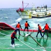 7 thuyền viên tàu bị nạn ở Hải Phòng đã được đưa vào bờ an toàn 