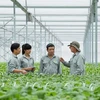 Hà Nội muốn hợp tác với Quỹ châu Á về sản xuất nông nghiệp đô thị