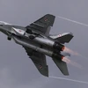 Một máy bay MiG-29 của quân đội Ba Lan. (Nguồn: AFP)