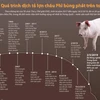 [Infographics] Quá trình dịch tả lợn châu Phi bùng phát trên toàn cầu