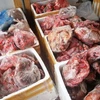 Lâm Đồng: Thu giữ để tiêu hủy lượng lớn thịt lợn không rõ nguồn gốc