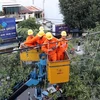 Quảng Nam khắc phục sự cố mất điện trên diện rộng do giông lốc 