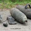 Nổ lớn nghi do cưa bom tại nhà dân, một người tử vong 