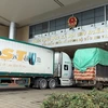 Xe container vận chuyển hàng hóa nhập khẩu tại Cửa khẩu quốc tế đường bộ số II Kim Thành, Lào Cai. (Ảnh: Quốc Khánh/TTXVN)