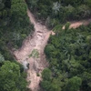 Ảnh tư liệu: Khoảng rừng Amazon bị chặt phá tại bang Para, Brazil, ngày 14/10/2014. (Nguồn: AFP/TTXVN)