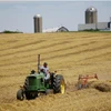 Một nông dân thu hoạch trên cánh đồng của mình tại trang trại ở Pecatonica, Illinois, Mỹ. (Nguồn: Reuters)