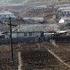 Đất trồng trọt khô hạn tại Nampho, tỉnh Nam Phyongan, Triều Tiên. (Nguồn: AFP/TTXVN)
