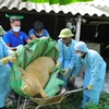 Lợn mắc bệnh dịch tả lợn châu Phi bị chết tại một hộ chăn nuôi ở xã Quang Thiện, huyện Kim Sơn, tỉnh Ninh Bình được lực lượng chức năng đưa đi tiêu hủy. (Ảnh: Minh Đức/TTXVN)