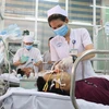 Điều dưỡng viên tại Khoa Cấp cứu - Bệnh viện Chợ Rẫy Thành phố Hồ Chí Minh tích cực cấp cứu cho bệnh nhân. Ảnh minh họa. (Ảnh: Đinh Hằng/TTXVN)