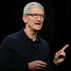 CEO Apple Tim Cook. (Nguồn: Getty Images)