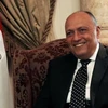 Ngoại trưởng Ai Cập Sameh Shoukry. (Nguồn: Reuters)