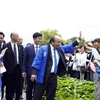 Hình ảnh Thủ tướng cùng Phu nhân dự Lễ hội hoa sen Nhật-Việt