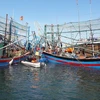 Các lực lượng chức năng và tàu cá của ngư dân địa phương tham gia trục vớt tàu cá QNa 95238 bị chìm ở khu vực Cửa Đại. (Ảnh: Đỗ Trưởng/TTXVN)