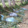 Bạo lực bộ lạc ở tỉnh Hela, Papua New Guinea đã khiến ít nhất 15 phụ nữ và trẻ em thiệt mạng. (Nguồn: theguardian.com)