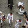 Thót tim xem cảnh rượt đuổi ở lễ hội chạy đua với bò tót San Fermin