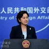 Người phát ngôn Bộ Ngoại giao Trung Quốc Hoa Xuân Oánh. (Nguồn: fmprc.gov.cn/TTXVN)