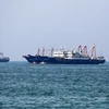 Các tàu chở hàng đi qua vùng Vịnh. (Nguồn: AFP/TTXVN)