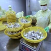  Đóng sản phẩm tôm xuất khẩu tại nhà máy của Công ty Cổ phần thủy sản Minh Phú Hậu Giang. (Ảnh: Vũ Sinh/TTXVN)