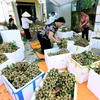Phân loại, đóng gói sản phẩm nhãn để xuất khẩu tại Hợp tác xã Nễ Châu, xã Hồng Nam, thành phố Hưng Yên. (Ảnh tư liệu: Vũ Sinh/TTXVN)