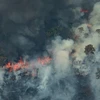 Khói lửa bốc lên từ đám cháy tại rừng Amazon ở Porto Velho, bang Rondonia, miền Tây Bắc Brazil, ngày 24/8/2019. (Nguồn: AFP/TTXVN)