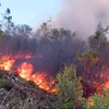 Phú Yên: Cơ bản dập tắt các đám cháy rừng trồng tại xã Hòa Định Tây