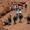Du khách leo núi Uluru. (Nguồn: AFP)