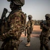 Quân đội Mali trong một chiến dịch càn quét phiến quân Hồi giáo. (Nguồn: AFP)
