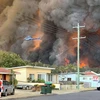 Lính cứu hỏa nỗ lực dập lửa cháy rừng tại Harrington, cách thủ đô Sydney, Australia khoảng 335km về phía Đông Bắc ngày 8/11/2019. (Nguồn: AFP/TTXVN)
