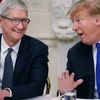 Tổng thống Mỹ Donald Trump và CEO Apple Tim Cook. (Nguồn: Getty Images)