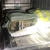 Hai lồng sắt chứa 6 con cáo bị cảnh sát giao thông Quảng Ninh phát hiện trên xe khách. (Nguồn: TTXVN phát)