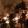 Hiện trường đám cháy tại bản Noong Luống A1, xã Noong Luống, huyện Điện Biên. (Ảnh: Phan Tuấn Anh/TTXVN) 