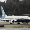 Máy bay Boeing 737. (Nguồn: Getty Images)