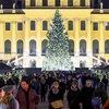 Chợ Giáng sinh ở Vienna, Áo. (Nguồn: AFP)