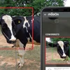 Một hệ thống nhận dạng khuôn mặt cho bò chỉ là một trong những ý tưởng đang được thử nghiệm trong ngành công nghiệp công nghệ nông nghiệp đang bùng nổ ở Ấn Độ.