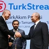 Tổng thống Nga Vladimir Putin và người đồng cấp Thổ Nhĩ Kỳ Tayyip Erdogan bắt tay nhau trong lễ khánh thành hệ thống đường ống dẫn khí đốt tới nam châu Âu. (Nguồn: Reuters)