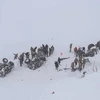 Tìm kiếm nạn nhân bị mắc kẹt sau hai trận lở tuyết tại tỉnh Van, miền Đông Thổ Nhĩ Kỳ, ngày 5/2/2020. (Nguồn: AFP/TTXVN) 