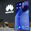 Điện thoại Huawei Mate 30. (Nguồn: TASS)