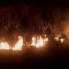 Lâm Đồng: Kịp thời dập tắt đám cháy rừng trên núi Đại Bình